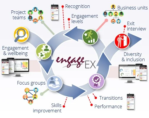 Employee lifecycle surveys