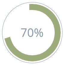 pie focus managers