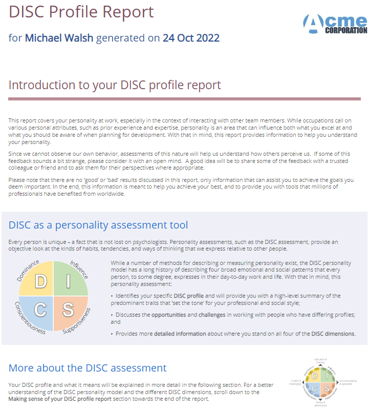 DISC Report