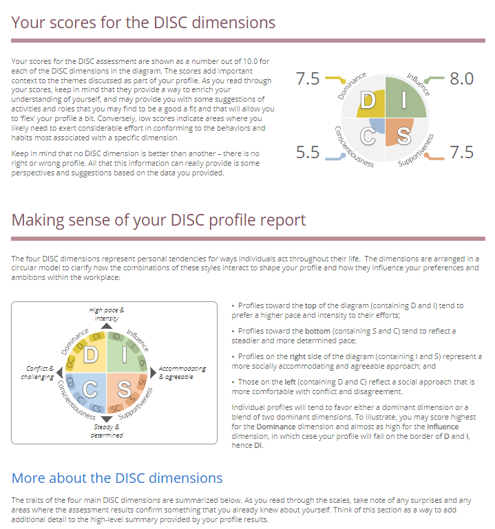 DISC Report 4