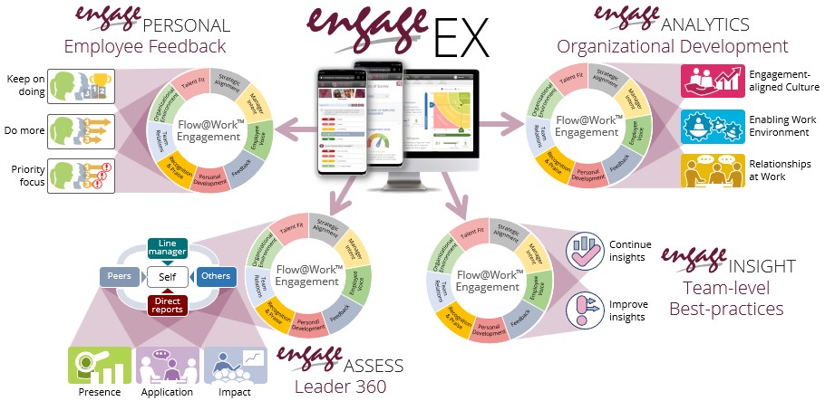 Holistic engagement