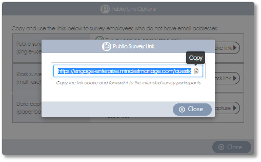 PublicINDIVlink copy assess.png