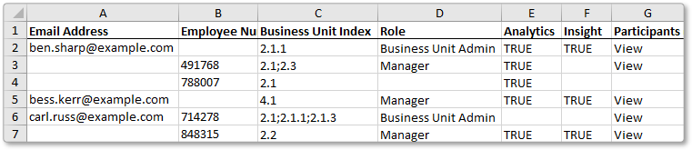 Excel import access