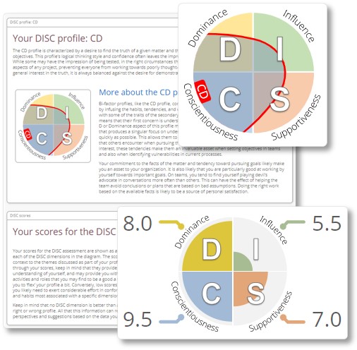 DISC personality assessment