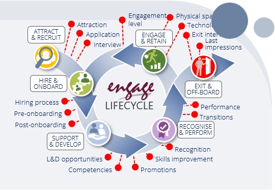 lifecycle surveys