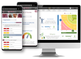 bdo engagement framework