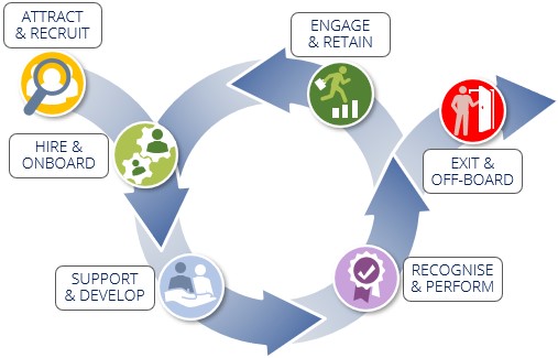 lifecycle summary tech