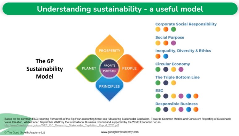 6P sustainability model