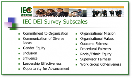 IEC-DEI-Scales