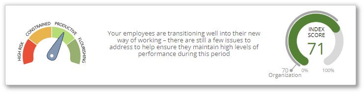 Organizational wellbeing index