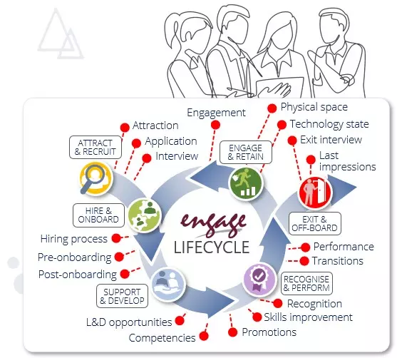 Employee lifecycle surveys