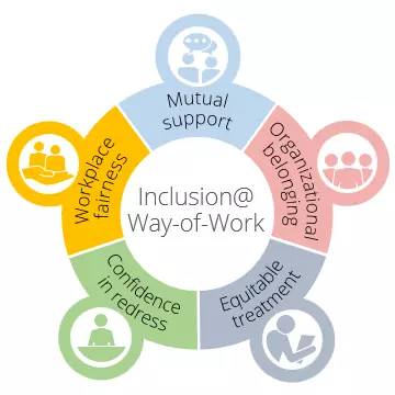 DEI survey model